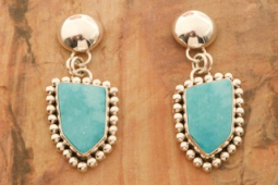 Artie Yellowhorse Genuine Fox Turquoise Sterling Silver Post Earrings